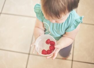 Top 5 Foods to Feed Your Toddler