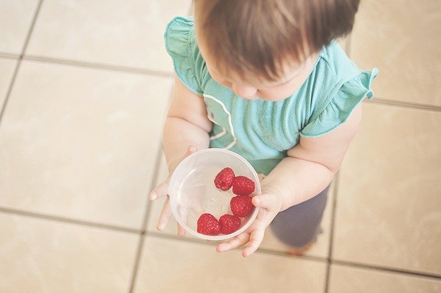 Top 5 Foods to Feed Your Toddler