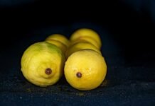 Immunity Supplements