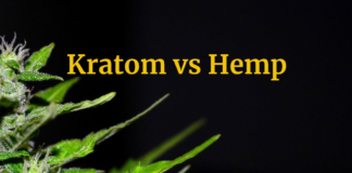 Kratom vs Hemp