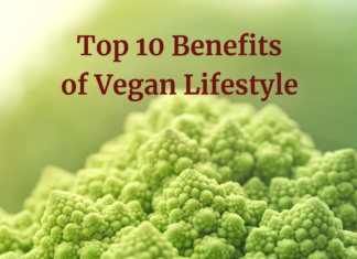 The Top 10 Important Benefits of a Vegan Lifestyle top 10 important benefits of a vegan lifestyle