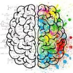 Effects of CBD on the Brain