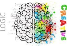 Effects of CBD on the Brain