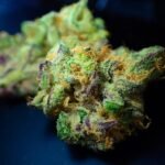 CBD Hemp Flower