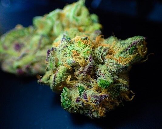 CBD Hemp Flower