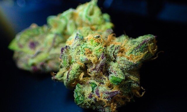 CBD Hemp Flower