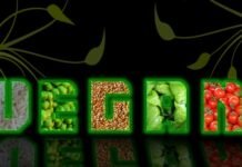 Protein and Iron as a Vegan