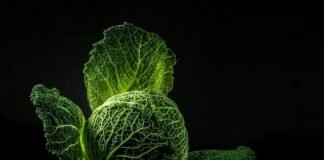 Health Benefits of Dark Leafy Green Vegetables