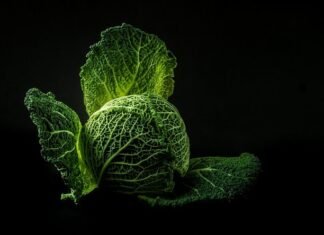 Health Benefits of Dark Leafy Green Vegetables