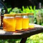Top 10 Health Benefits of Raw Honey You Should Know Health Benefits of Raw Honey