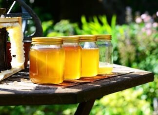 Top 10 Health Benefits of Raw Honey You Should Know Health Benefits of Raw Honey