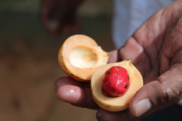 Nutmeg health benefits