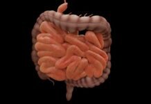 4 Ways You Can Stay Regular as You Get Older bowel movements