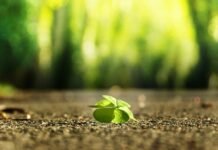 Metagenics Supplements For Optimal Health Optimal Health