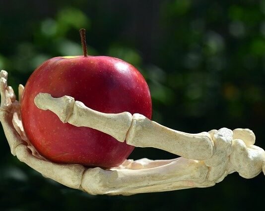 Top Foods for Healthy and Strong Bones