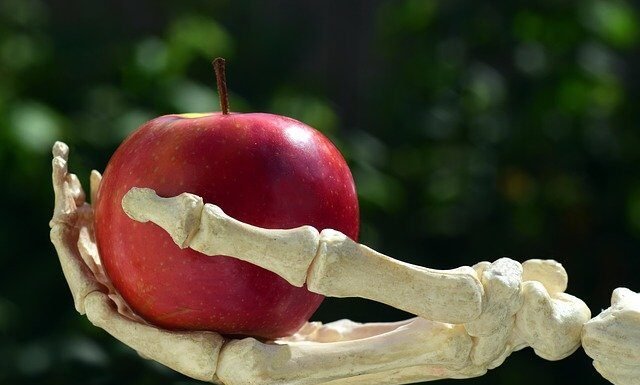 Top Foods for Healthy and Strong Bones