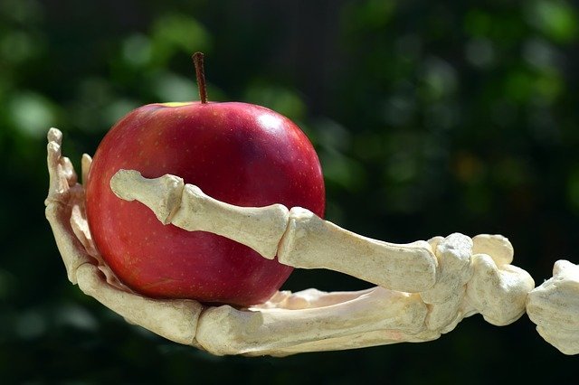 Top Foods for Healthy and Strong Bones