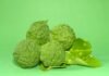 Bergamot Essential Oils