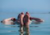 Self-Care & Self-Indulgence