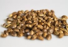 Benefits Of Consuming Cannabis Seeds