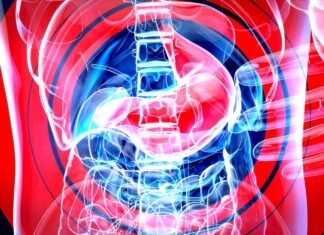 Eating Well for Mental Health: The Impact of Food on Mind and Mood The Impact of Food on Mind and Mood
