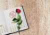 Find Work-Life Balance