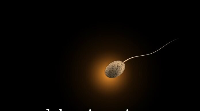 Diet Tips for Men Fertility