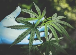 Hempathy: Exploring the Therapeutic Potential of Hemp-Derived Cannabinoids Hempathy: Exploring the Therapeutic Potential of Hemp-Derived Cannabinoids