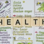 The Science Behind Detoxing: Separating Myths from Facts