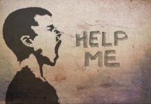 Assignment Help