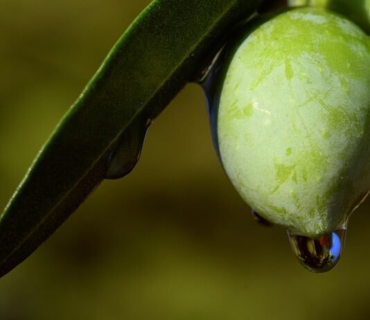 Drinking Olive Oil