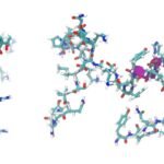 Peptides