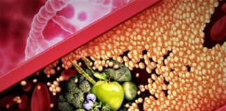 Research in Health and Medicine Shows That Fiber Can Counteract Saturated Fat, Calories and Other Components of Junk Food — Promoting Less Restrictive Cholesterol and Weight Control