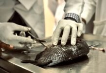 The Importance of Mercury Testing in Sustainable Seafood Mercury Testing in Seafood