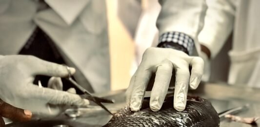 The Importance of Mercury Testing in Sustainable Seafood Mercury Testing in Seafood