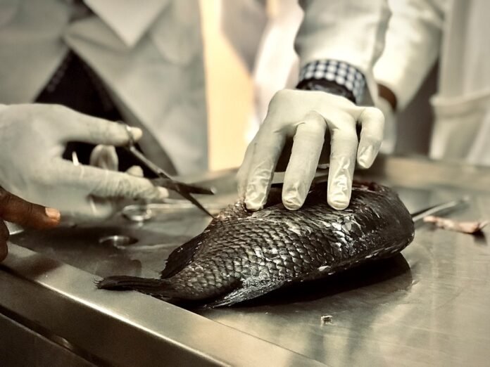 Mercury Testing in Seafood Mercury Testing in Seafood